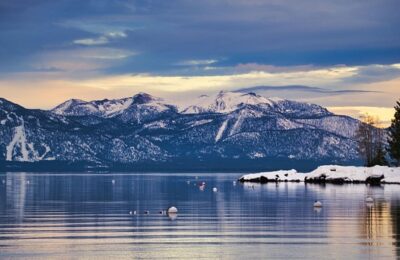 仙人掌的养护方法，仙人掌养护中容易出现的问题及解决方法？缩略图