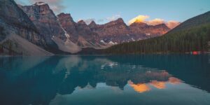 八千代的养殖方法，八千代养殖进阶：如何让你的八千代更加出色？缩略图