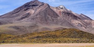 八宝景天的养殖方法，八宝景天在不同气候条件下的养殖技巧有哪些？缩略图