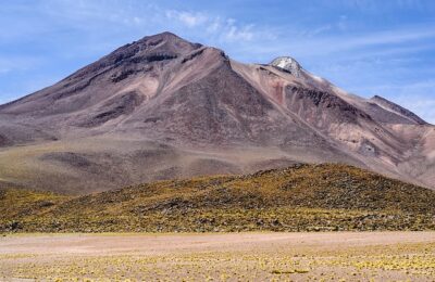 八宝景天的养殖方法，八宝景天在不同气候条件下的养殖技巧有哪些？缩略图