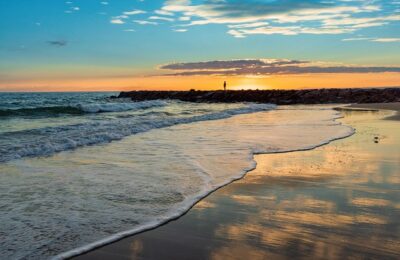 荷花与莲花的区别，荷花/莲花与睡莲的区别是什么？缩略图