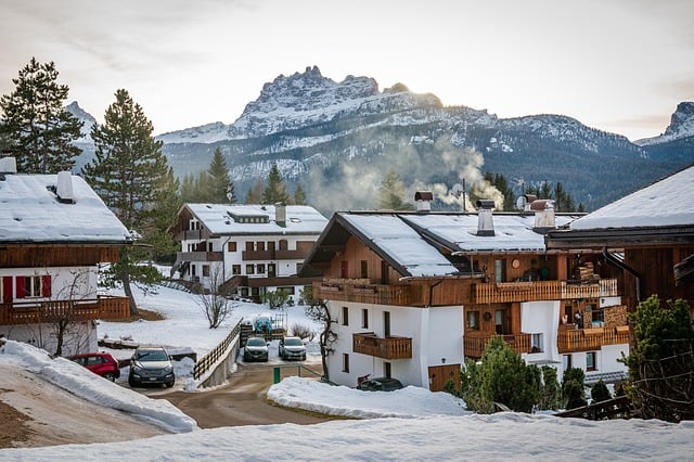 八仙花的品种，八仙花的品种如何选择和养护？插图