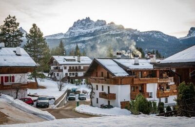 八仙花的品种，八仙花的品种如何选择和养护？缩略图