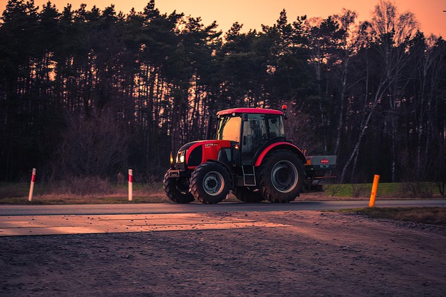 蝴蝶花的养殖方法，蝴蝶花养殖进阶：如何让花开得更多更艳？插图