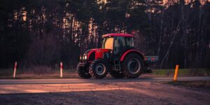 蝴蝶花的养殖方法，蝴蝶花养殖进阶：如何让花开得更多更艳？缩略图