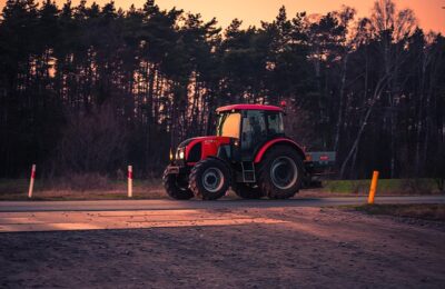 蝴蝶花的养殖方法，蝴蝶花养殖进阶：如何让花开得更多更艳？缩略图