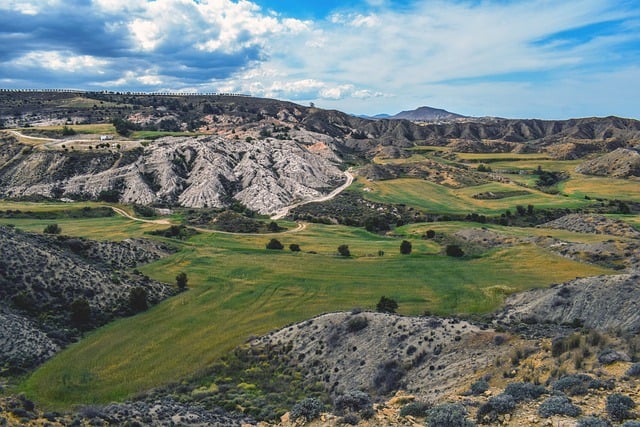 蝴蝶花的繁殖方法及注意事项,蝴蝶花繁殖过程中容易出现哪些问题?以及如何解决?插图 蝴蝶花的繁殖方法及注意事项,蝴蝶花繁殖过程中容易出现哪些问题?以及如何解决?插图