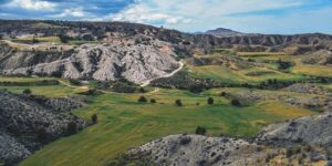 蝴蝶花的繁殖方法及注意事项，蝴蝶花繁殖过程中容易出现哪些问题？以及如何解决？缩略图