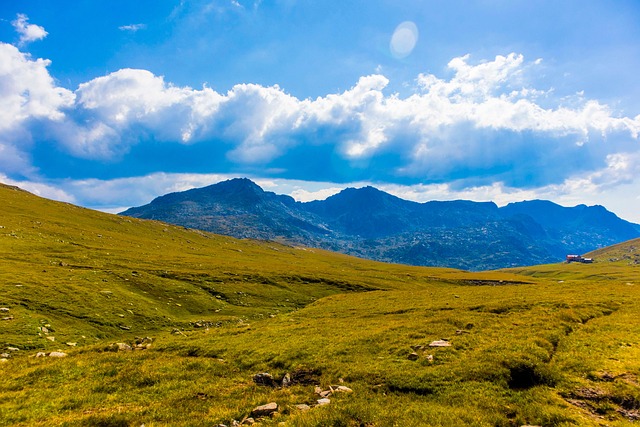 碰碰香发出香味的原因及其作用,碰碰香香味的强度和持续时间可以控制吗?以及它在实际应用中的潜力?插图 碰碰香发出香味的原因及其作用,碰碰香香味的强度和持续时间可以控制吗?以及它在实际应用中的潜力?插图
