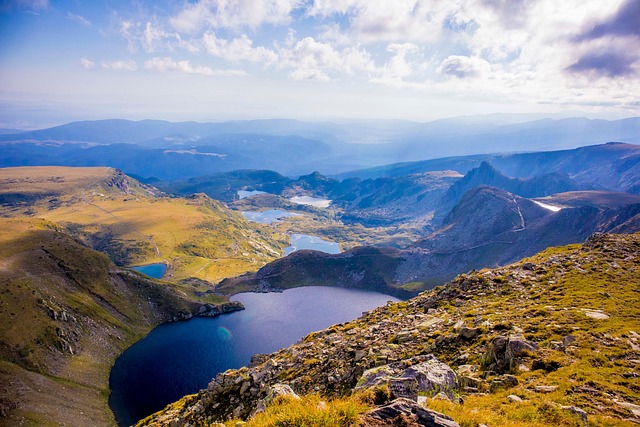 紫珍珠的养殖方法及注意事项，紫珍珠养殖进阶：如何养出状态极致的紫珍珠？插图