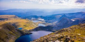 紫珍珠的养殖方法及注意事项，紫珍珠养殖进阶：如何养出状态极致的紫珍珠？缩略图