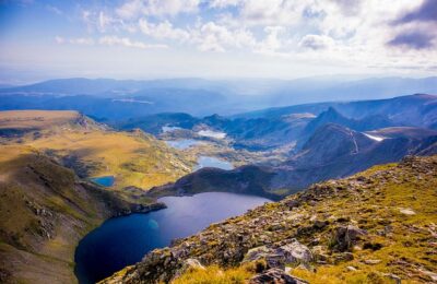 紫珍珠的养殖方法及注意事项，紫珍珠养殖进阶：如何养出状态极致的紫珍珠？缩略图