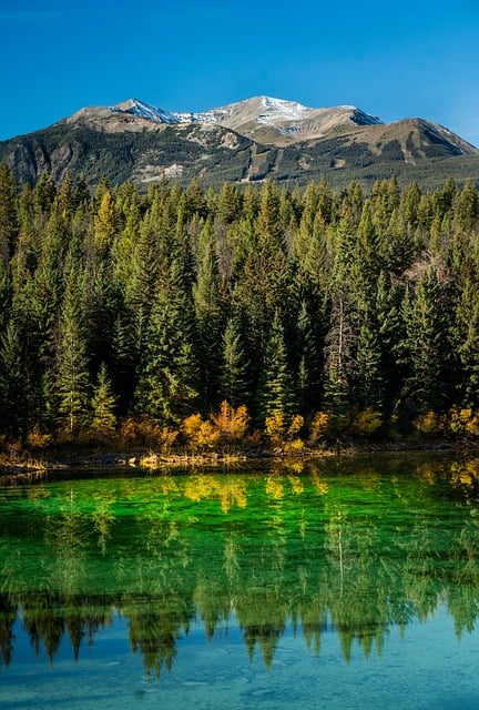 多肉植物紫珍珠和初恋怎么区别,多肉植物紫珍珠和初恋在杂交品种上的区别以及如何辨别它们的相似品种?插图 多肉植物紫珍珠和初恋怎么区别,多肉植物紫珍珠和初恋在杂交品种上的区别以及如何辨别它们的相似品种?插图