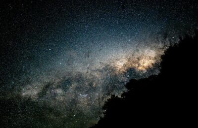 水仙花有哪些种类，水仙花在不同文化中有什么象征意义？缩略图