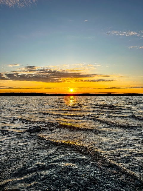 紫章的养殖方法及注意事项，紫章养殖进阶：如何养出“极致状态”？插图