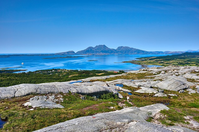 多肉玉蝶的养殖方法,多肉玉蝶养殖的进阶技巧和常见问题插图 多肉玉蝶的养殖方法,多肉玉蝶养殖的进阶技巧和常见问题插图