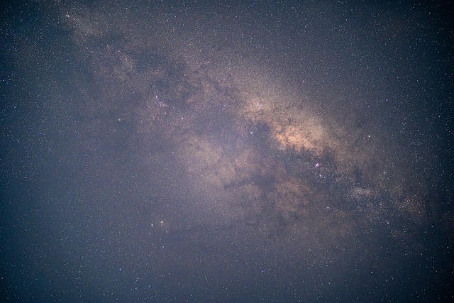 种植吊兰的注意事项,吊兰叶子发黄怎么办?吊兰如何安全过冬?插图 种植吊兰的注意事项,吊兰叶子发黄怎么办?吊兰如何安全过冬?插图