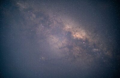 种植吊兰的注意事项，吊兰叶子发黄怎么办？吊兰如何安全过冬？缩略图