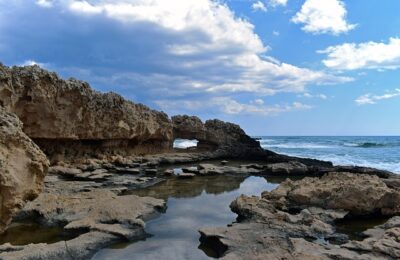 水仙花怎么栽培，水仙花雕刻的技巧和注意事项有哪些？缩略图