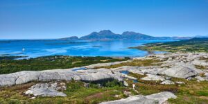 蟹爪兰的养殖方法和注意事项，蟹爪兰不开花怎么办？如何让蟹爪兰花繁叶茂？缩略图