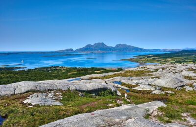 蟹爪兰的养殖方法和注意事项，蟹爪兰不开花怎么办？如何让蟹爪兰花繁叶茂？缩略图