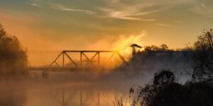 莲瓣兰和春剑的区别，莲瓣兰和春剑的杂交品种有哪些？以及如何鉴别？缩略图