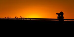 墨兰和剑兰的区别，墨兰和剑兰在文化寓意上有什么区别？缩略图