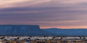 染井吉野樱和大岛樱的区别在哪，染井吉野樱的单一基因型会带来什么问题？缩略图