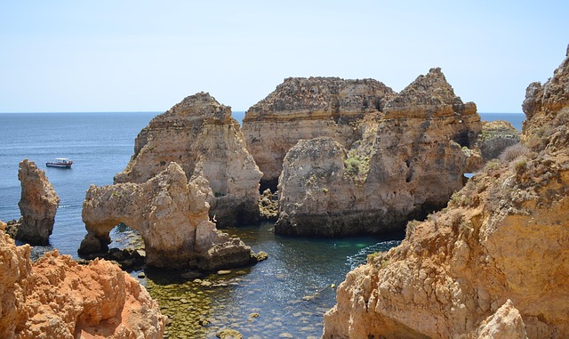 向日葵和太阳花的区别,向日葵为什么被称为太阳花?而其他的“太阳花”又为什么叫太阳花?插图 向日葵和太阳花的区别,向日葵为什么被称为太阳花?而其他的“太阳花”又为什么叫太阳花?插图