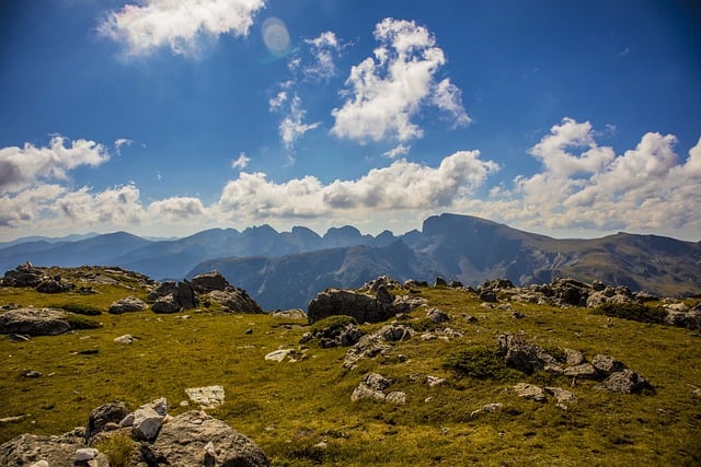 石竹和康乃馨的区别,石竹和康乃馨的杂交品种以及未来发展趋势?插图 石竹和康乃馨的区别,石竹和康乃馨的杂交品种以及未来发展趋势?插图
