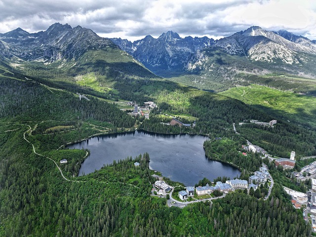 玉树和燕子掌的区别,玉树和燕子掌的养护有什么不同?插图 玉树和燕子掌的区别,玉树和燕子掌的养护有什么不同?插图