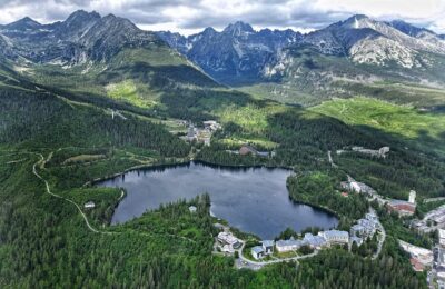 玉树和燕子掌的区别，玉树和燕子掌的养护有什么不同？缩略图