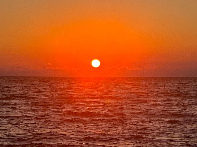 铁海棠和海棠花的区别，铁海棠和海棠花在文化寓意上有什么区别？插图