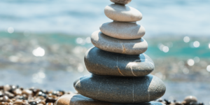 蒲公英和苦菜的区别，蒲公英和苦菜在实际应用中如何区分以及它们各自的潜在价值？缩略图