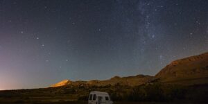 长春花和长寿花的区别，长春花和长寿花在园艺应用上有哪些不同？缩略图