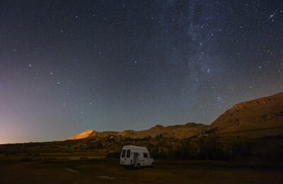 长春花和长寿花的区别，长春花和长寿花在园艺应用上有哪些不同？缩略图