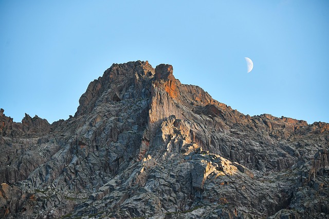 长春花和迎春花的区别，长春花和迎春花在园林应用中有什么不同？插图