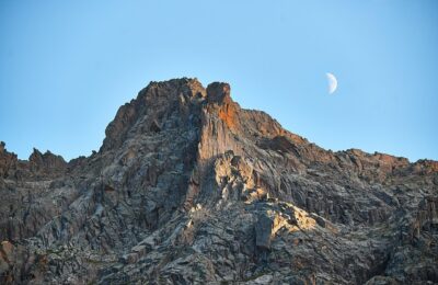 长春花和迎春花的区别，长春花和迎春花在园林应用中有什么不同？缩略图