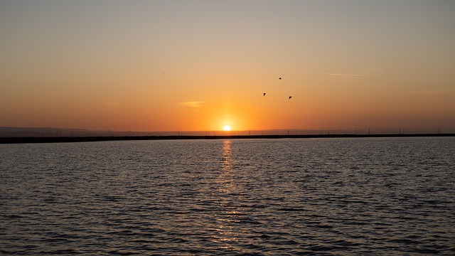 山乌龟和旱金莲的区别,山乌龟和旱金莲在园林应用上有什么区别?插图 山乌龟和旱金莲的区别,山乌龟和旱金莲在园林应用上有什么区别?插图