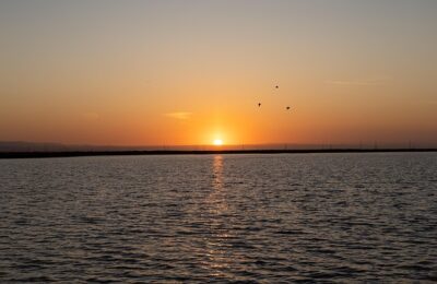 山乌龟和旱金莲的区别，山乌龟和旱金莲在园林应用上有什么区别？缩略图