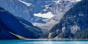 旱荷花和铜钱草的区别，旱荷花和铜钱草如何区分和养护？缩略图