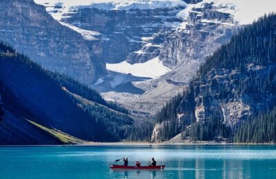 旱荷花和铜钱草的区别，旱荷花和铜钱草如何区分和养护？缩略图