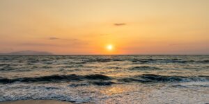 凌霄花和牵牛花的区别，凌霄花和牵牛花在园林应用中有什么不同？缩略图