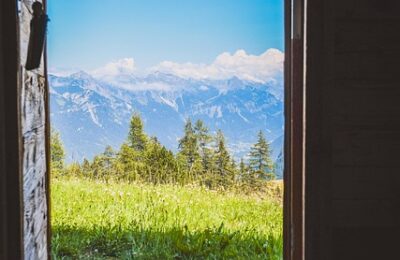 鸢尾和马蔺的区别，鸢尾和马蔺在杂交育种方面有哪些进展和挑战？缩略图