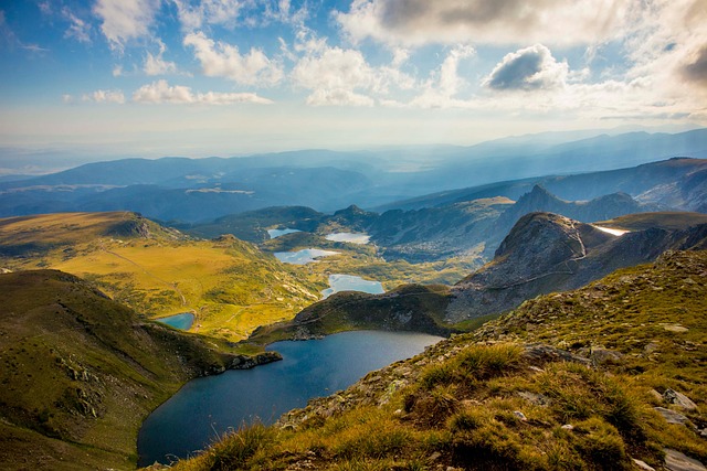 郁李和榆叶梅的区别,郁李和榆叶梅在园林应用中有什么区别?插图 郁李和榆叶梅的区别,郁李和榆叶梅在园林应用中有什么区别?插图
