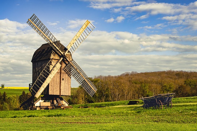 美人梅和榆叶梅的区别，美人梅和榆叶梅在园林应用中有什么不同？插图