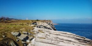 桔子有哪些特征，桔子的品种和产地对它的特征有什么影响？缩略图