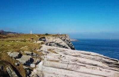 桔子有哪些特征，桔子的品种和产地对它的特征有什么影响？缩略图