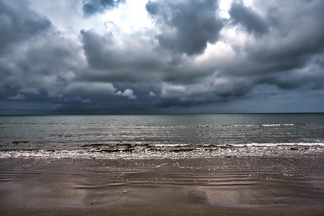 金边瑞香是什么花,金边瑞香的未来发展趋势和文化传承插图 金边瑞香是什么花,金边瑞香的未来发展趋势和文化传承插图