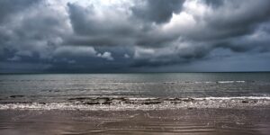 金边瑞香是什么花，金边瑞香的未来发展趋势和文化传承缩略图